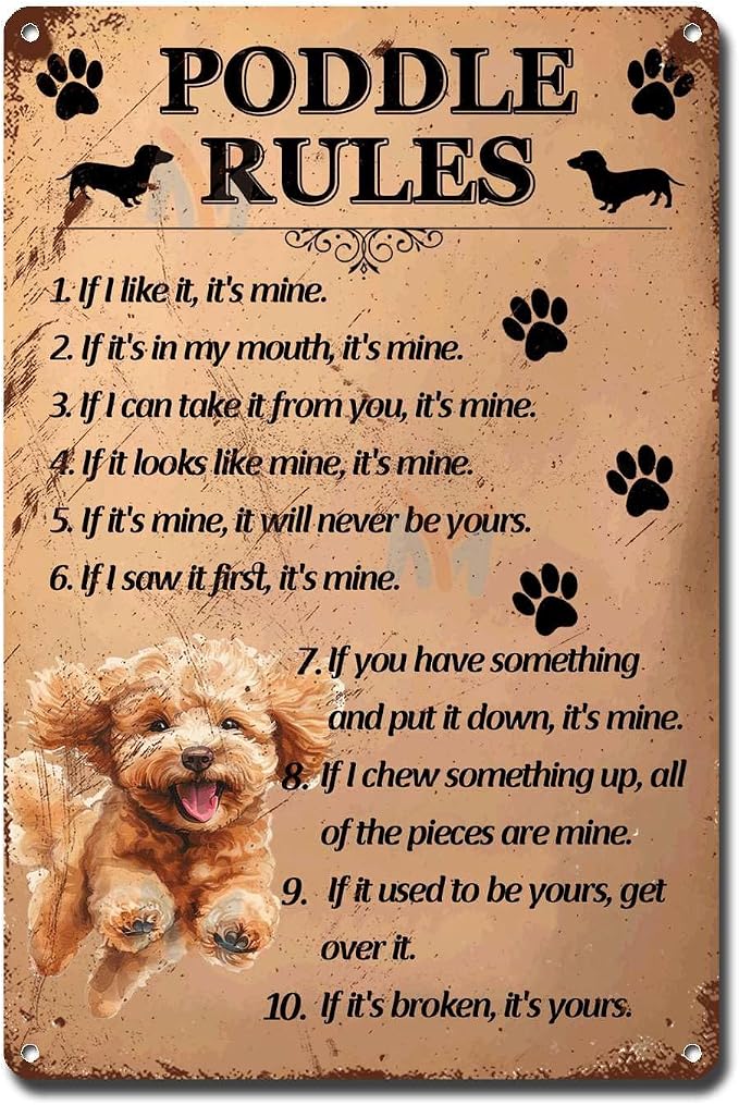 Metal Sign Tin Sign Vintage Wall Art Poddle Rules Sign for Garden for Room 6×8 Inches