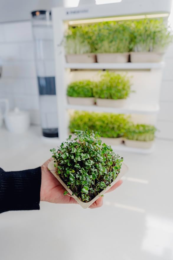 Indoor Garden, Fully Automated LED Growing Unit for Microgreens, Herbs, Leafy Greens, Organic Soil-Based, Low/No Maintenance, Easy, Standalone Unit, Designed & Assembled in The USA