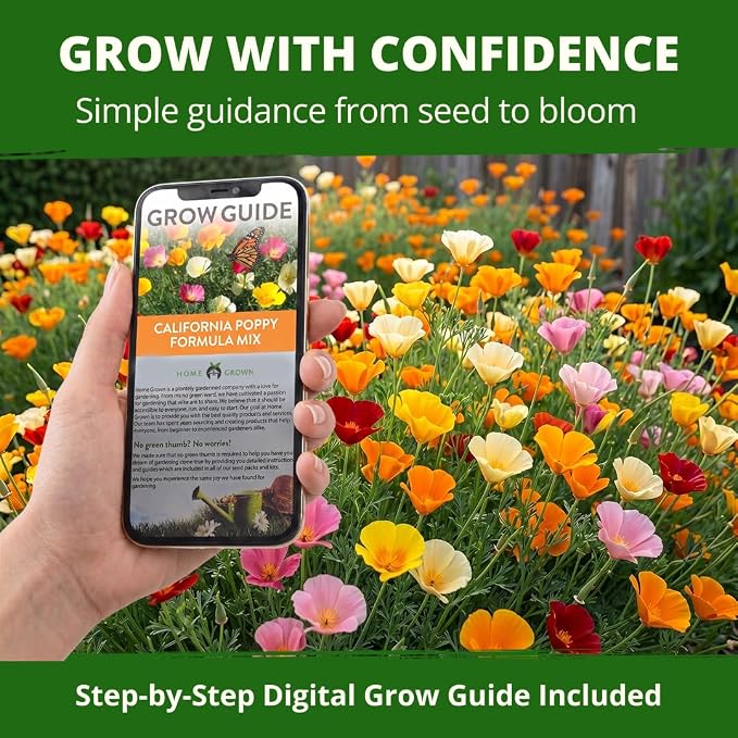 HOME GROWN California Poppy Formula Mix Flower Seeds for Spring 2026 Planting, Eschscholzia californica, 3000 Seeds 3.9g, Heirloom Non-GMO California Wildflower Seeds Bulk, Poppy Flower Seed
