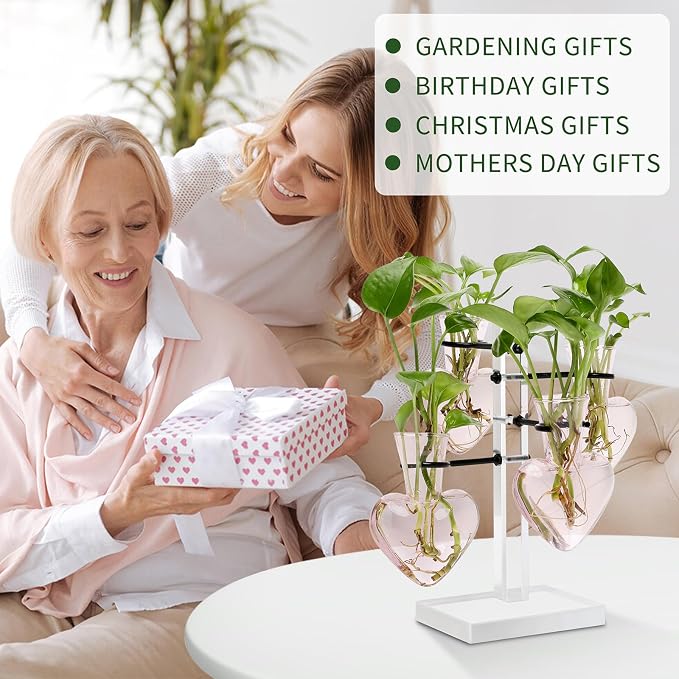 Plants Propagation Stations Plant Terrarium Kit Gift for Women | Birthday Glass Planters For Indoor Plants Home Office Decor Acrylic Plant Accessories - 4 Love Hear Vase