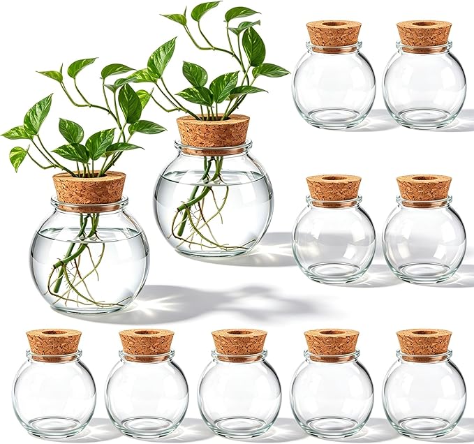 12 Pack Glass Plant Propagation Stations, Hydroponic Vases Tabletop Plant Terrarium Jar for Indoor Flower Arrangements Glass Planter Kitchen Office Decoration Gifts (Spherical)