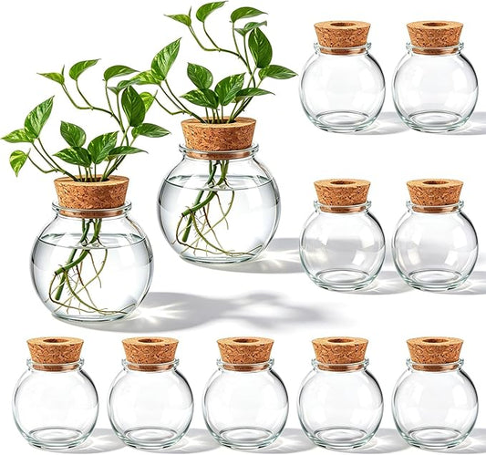 12 Pack Glass Plant Propagation Stations, Hydroponic Vases Tabletop Plant Terrarium Jar for Indoor Flower Arrangements Glass Planter Kitchen Office Decoration Gifts (Spherical)