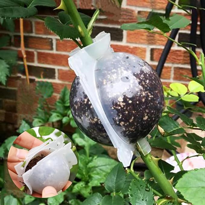 10 Pcs Air Layering Pods,Grafting Kit Reusable Half Transparent Air Layering Propagation Kit Plant Root Growing Box for Fast Propagation Plant Rooting Ball Tree Grow Tubes Plant Propagation Ball