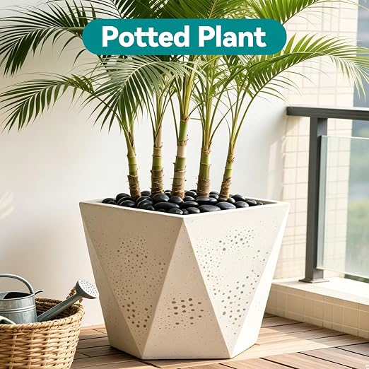 5 lbs Black Rocks for Planters, 1"-2" Decorative Rocks for Potted Plants, Polished Garden Stones for Outdoor Landscaping, Walkways, Yard, River Rocks for Flower Pots, Vase