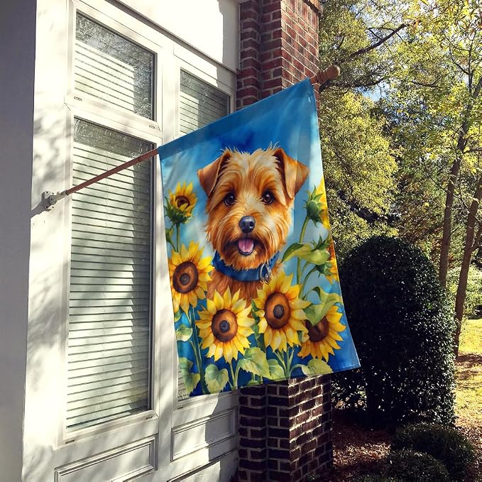 Caroline's Treasures DAC6125CHF Norfolk Terrier in Sunflowers House Flag Large Porch Sleeve Pole Decorative Outside Yard Banner Artwork Wall Hanging, Polyester, House Size, Multicolor