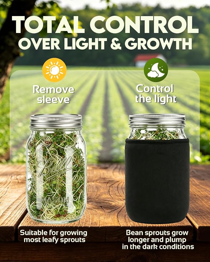 Seed Sprouting Jar Kit & Green Onion Regrower – 6 Regular Mouth Mason Jars with Stainless Steel Sprout Lids, Stand, Drain Tray & Blackout Sleeves – Grow Broccoli, Alfalfa, Mung Beans & Microgreens