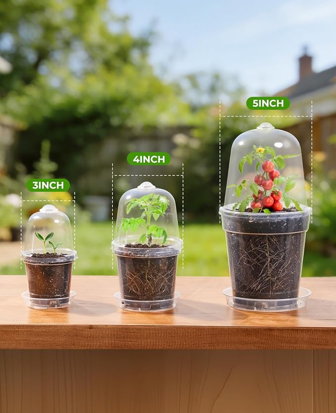 homenote 5 Inch Clear Nursery Pots 20 Pack with Humidity Domes&Plant Saucers–Rigid Plastic Nursery Pots with Drainage,Transparent Flower Pots for Seedlings,360° Rotary Vent,Indoor Outdoor Garden