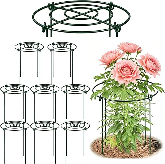 DAYUMKOU 8 Pack Peony Cages and Supports, 14" D x 24" H Plant Supports for Outdoor Plants, Heavy Duty Metal Peony Support Cage Flower Support Rings for Rose Hydrangea Strawberry