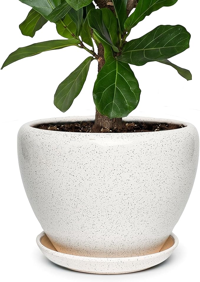 11 Inch Ceramic Plant Pot with Drainage Hole Mesh Net, Large Gardening Pots for Indoor Plants with Saucer, Waxen White