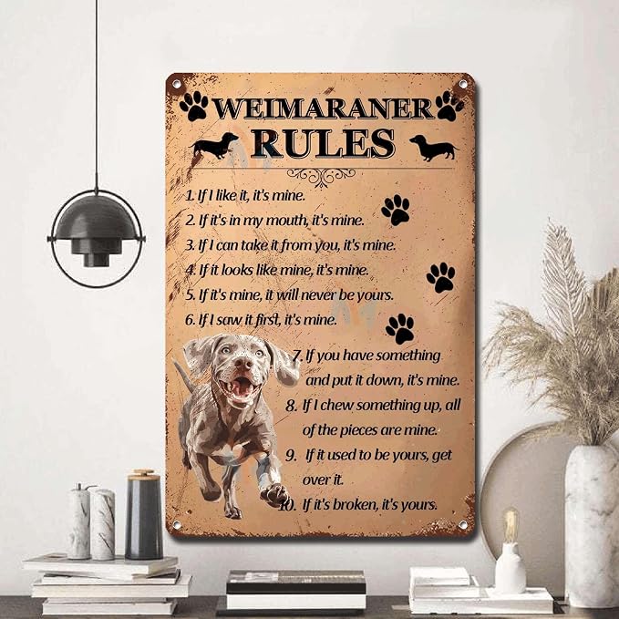 Metal Sign Tin Sign Vintage Wall Art Weimaraner Rules Tin Sign Paper for Club 12×16 Inches