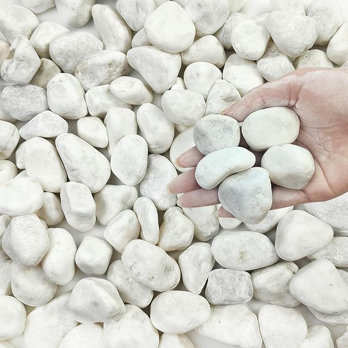 FANTIAN 5 lbs White River Rocks for Plants, 1-2 Inch Pebbles for Indoor Plants, Decorative Gravel Stones for Succulent, Cactus, Landscaping, Vases, Aquariums, Crafting and Garden