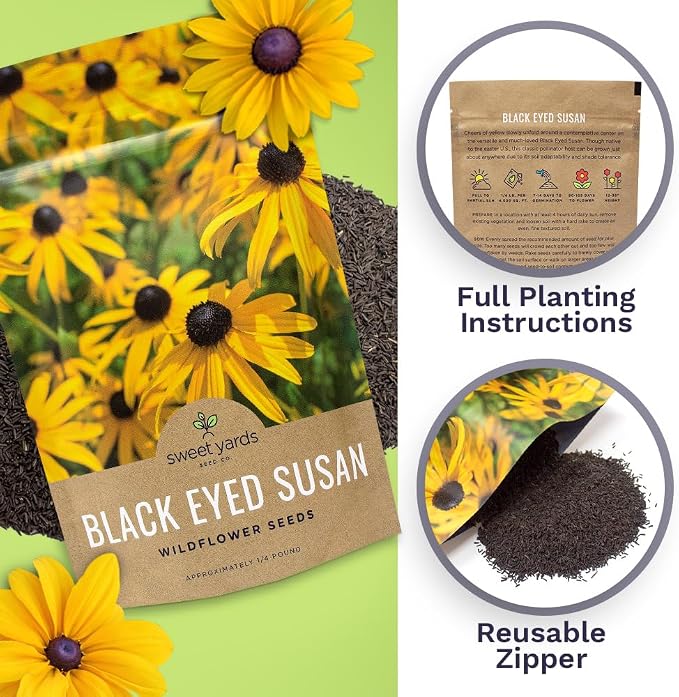 Black Eyed Susan Seeds – Bulk Quarter Pound Bag – Over 400,000 Open Pollinated Non-GMO Wildflower Seeds – Rudbeckia hirta