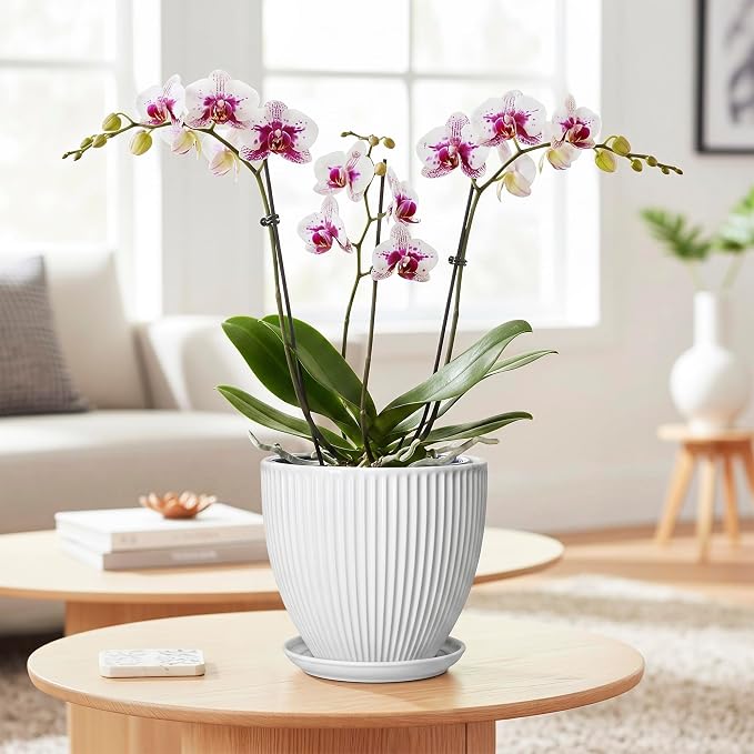 Ceramic Pots for Plants, 6 Inch Plant Pot with Drainage Hole and Saucer, Round Ceramic Flower Pots for Indoor Plants, Modern Small Succulent Planter, Room Home Decor, Plant Lover Gifts, White