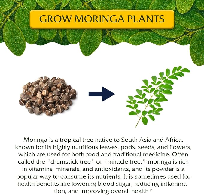 Moringa Oleifera Growing Kit, Moringa Seeds Complete Starter Set with 2 oz Seeds, 5 Peat Pots, Soil Discs, Plant Markers, Fast Growing Drought Resistant