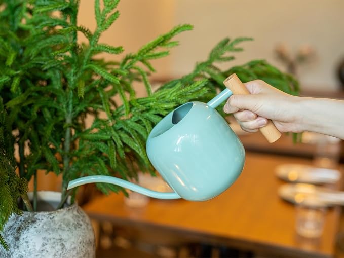 Green Moon 1.2L/41oz Metal Metal Watering Can with Long Spout, Mint Green | Metal Stainless Steel Watering Can for Indoor Plants, House Bonsai, Succulents, and Garden Flowers, Decorative Watering Cans