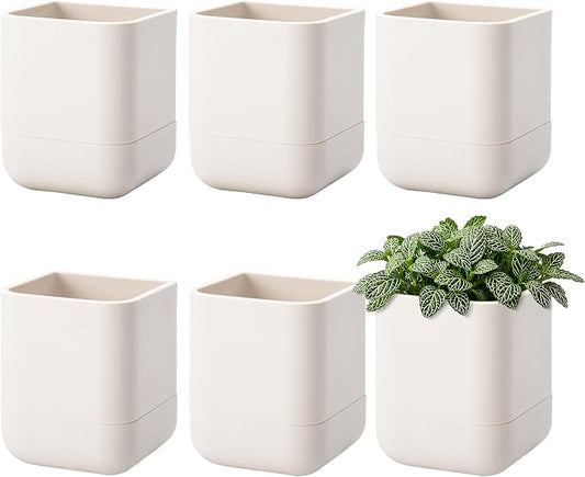 Phoenix Vine 3.5 Inch Wall Mounted Self-Watering Planter Pot for Indoor Houseplants and Herbs | Hanging Planter for Window Sills, Bathroom Walls, Home & Office Décor, Oatmeal, Set of 6, 01-A-G-6