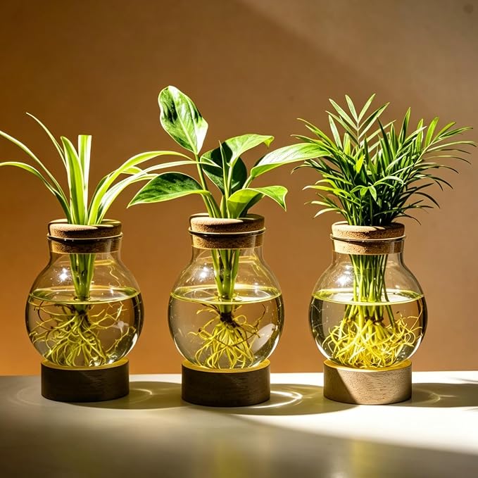 Propagation Stations, Plant Propagation Station with Light Base, Glass Propagation Vases, Hydroponic Vase for Plants, Glass Terrarium for Home Office Windowsill Tabletop Decoration (3)