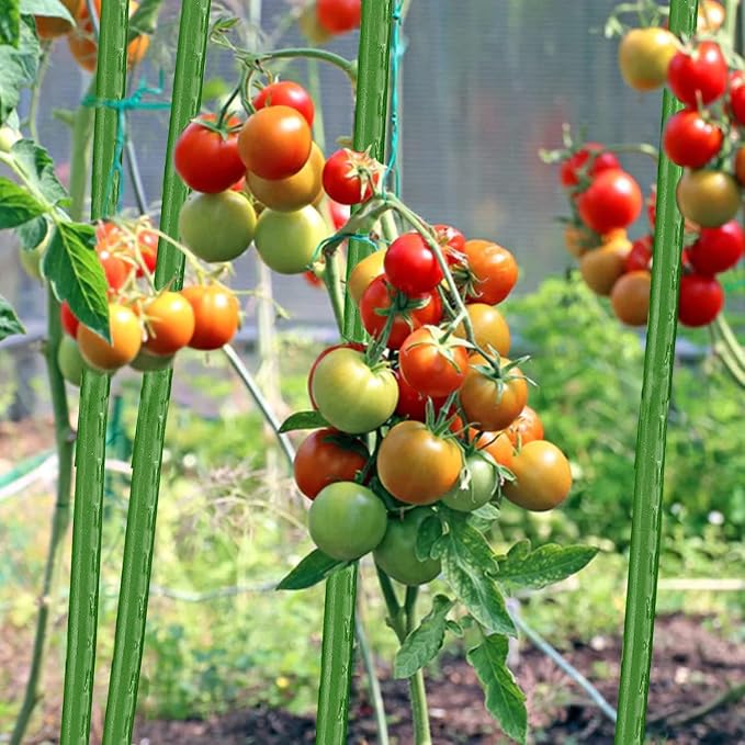 Garden Stakes 57 Inches Sturdy Green Plant Sticks 25 Pack, Metal Tomato Stakes Support, Yard Plant Support Cage for Potted Plants, Tomatoes, Trees, Cucumber, Fences, Beans (57 inch)