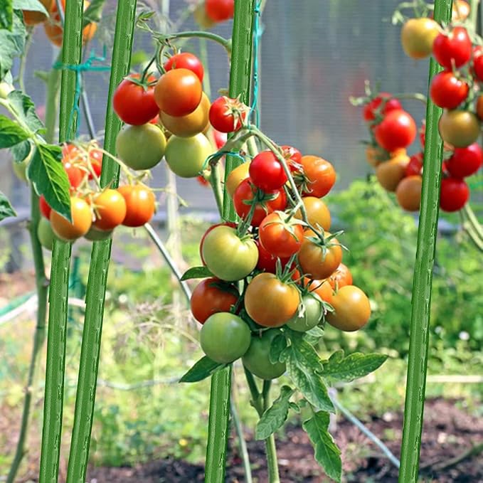 Garden Stakes 48 Inches Sturdy Green Plant Sticks 25 Pack, Metal Tomato Stakes Support, Yard Plant Support Cage for Potted Plants, Tomatoes, Trees, Cucumber, Fences, Beans (48 inch)