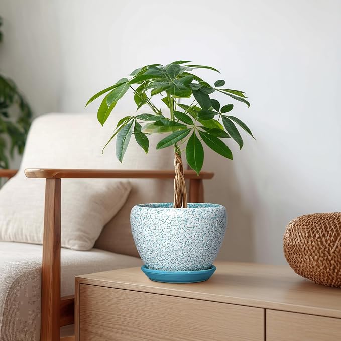 Ceramic Plant Pot, 6 Inch, Crackle Blue | Indoor Planters for Succulent Plants, Round Decorative Flower Pot, Drainage Hole and Saucer, Room Decor, Gifts for Gardeners