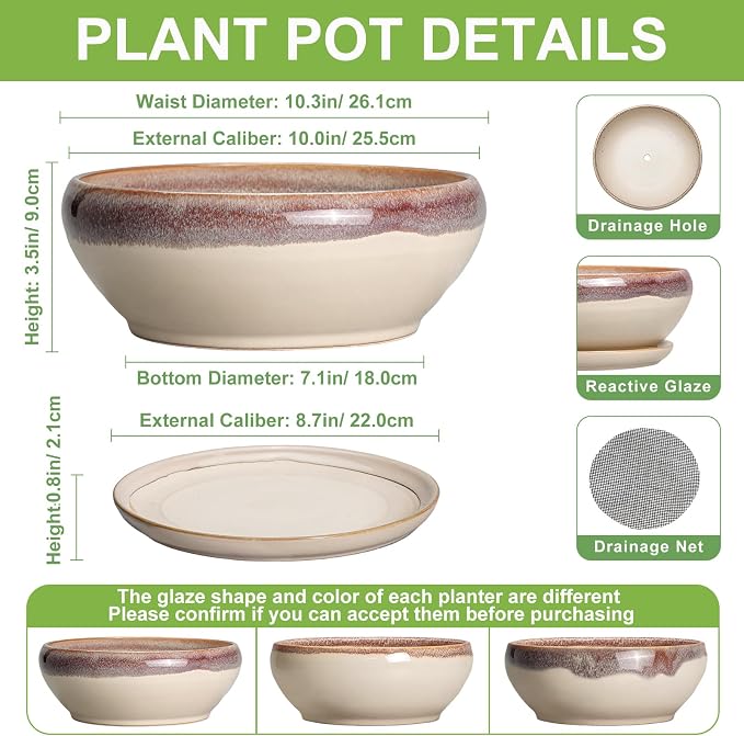 SQOWL Bonsai Tree Pots - 10 Inch Ceramic Succulent Pots, Round Shallow Planter with Drainage Hole and Tray, Bowl Planter for Indoor Outdoor Plants Flowers, Room Decor, Garden Gifts, Beige