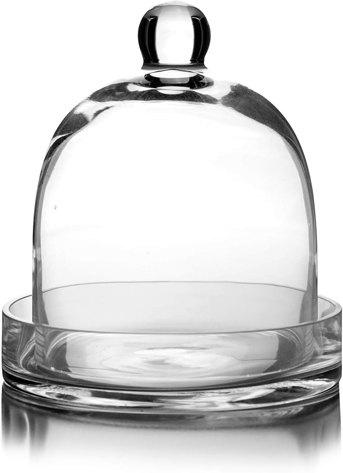 CYS EXCEL Glass Bell Dome Cloche with Glass Base (H:8" W:7") | Multiple Size Choices Terrarium Jar Plant Cover | Cake Dessert Display