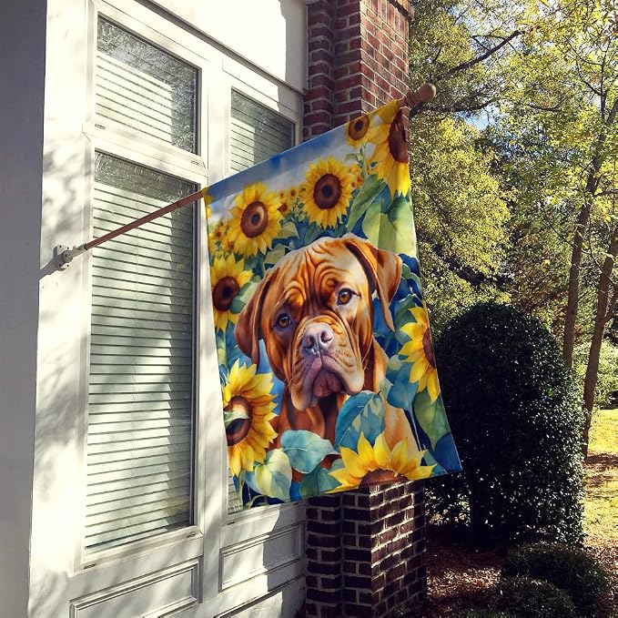 Caroline's Treasures DAC6069CHF Dogue de Bordeaux in Sunflowers House Flag Large Porch Sleeve Pole Decorative Outside Yard Banner Artwork Wall Hanging, Polyester, House Size, Multicolor