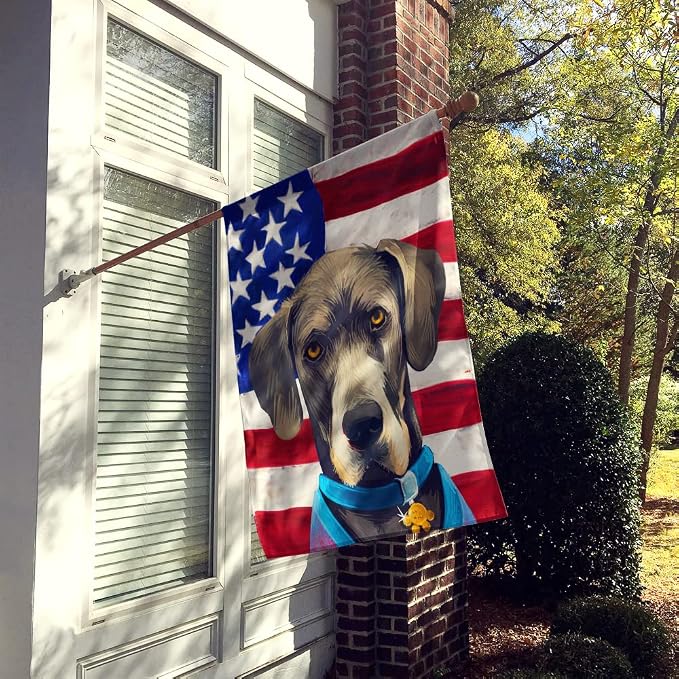 Caroline's Treasures CK6546CHF Great Dane Dog American Flag House Flag Large Porch Sleeve Pole Decorative Outside Yard Banner Artwork Wall Hanging, Polyester, House Size, Multicolor