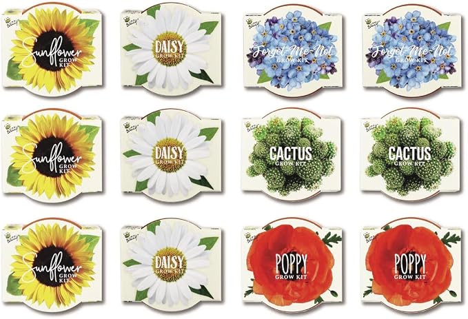 BUZZY Seeds Mini Terracotta Grow Kit 12-Pack - Mini Terracotta Pot Grow Set - Complete Indoor/Outdoor Gardening Kit with Seeds, Coconut Husk Growing Medium & Genuine Pots - 100% Grow Guarantee