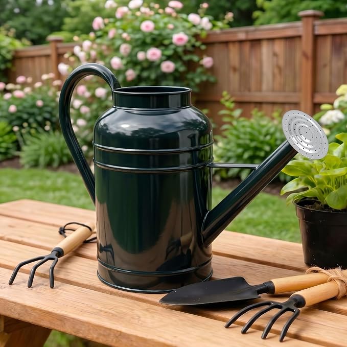LONGRUN 2.3 Gallon Dark Green Metal Watering Can for Plants and Garden with Removable Spout, Made of Galvanized Iron
