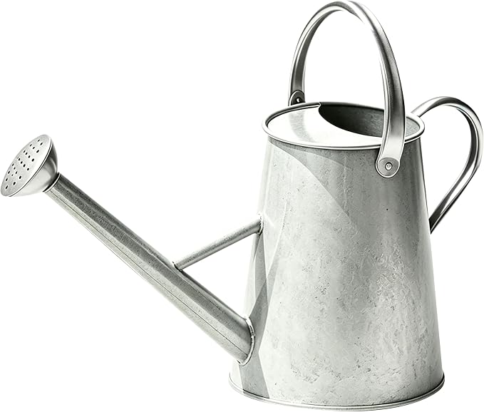 Metal Watering Can with Stainless Steel Handle for Outdoor and Indoor Plants, Watering Can Decor, 1.5 Gallon (Zinc)