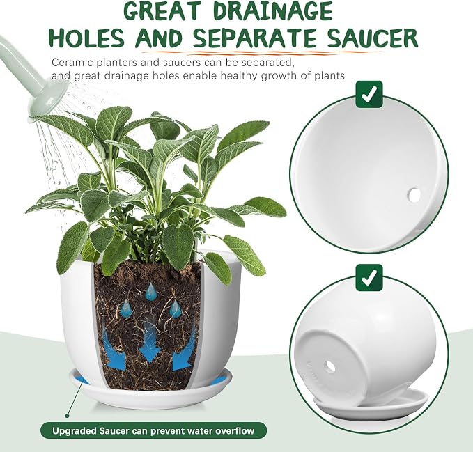 8 Inch Ceramic Planter, Plant Pots with Drainage Hole and Separable Saucer,Indoor-Outdoor Round Succulent Orchid Flower Pot,Indoor pots for Plants(White,Plant Pot only)