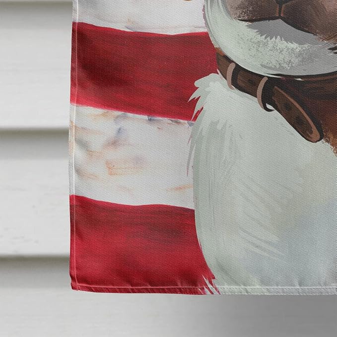 Caroline's Treasures CK6399CHF American Foxhound Dog American Flag House Flag Large Porch Sleeve Pole Decorative Outside Yard Banner Artwork Wall Hanging, Polyester, House Size, Multicolor