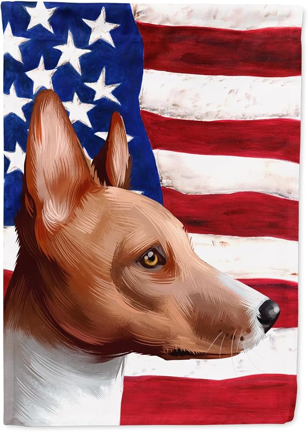 Caroline's Treasures CK6417GF Basenji American Flag Garden Flag Mailbox Flag Decorative Yard Flag Banner Outside Patio Artwork Yard Flower Beds, Garden Size, Multicolor