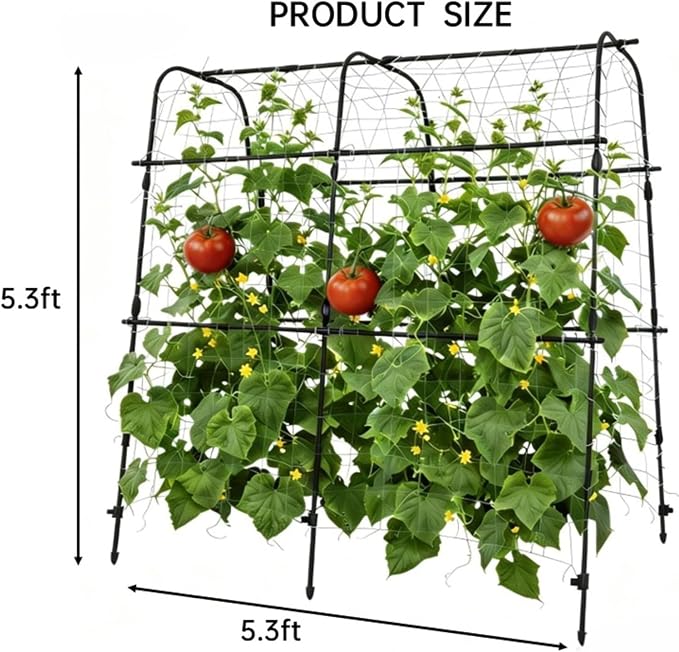 Garden Arch Trellis for Raised Beds, 5.3x5.3FT Plant Support for Cucumbers, Melons, Grapes, Roses & Climbing Vegetables, Outdoor Rust-Resistant Trellis for Vertical Growing, Black
