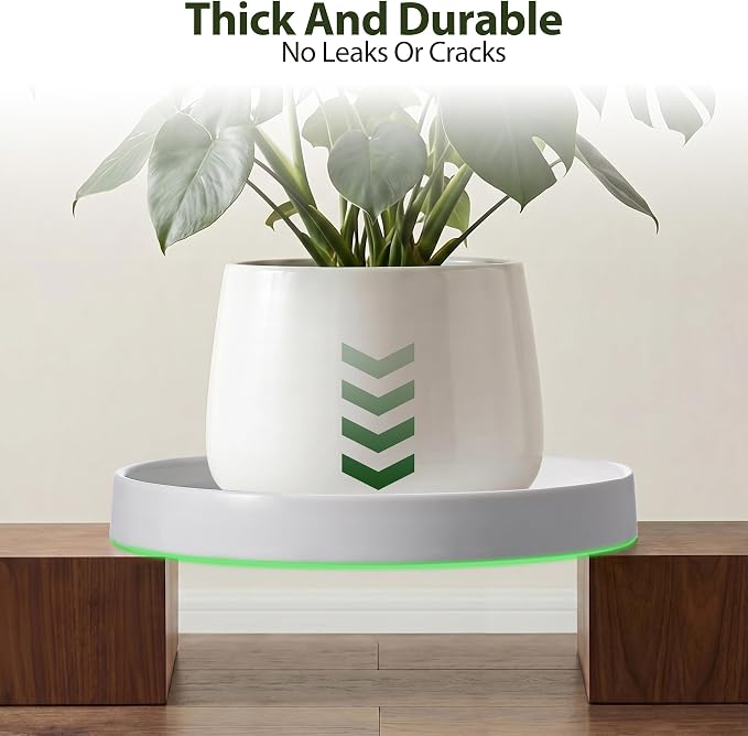 saffruff White Ceramic Plant Saucer 8 Inch, 2 Pack Sturdy Plant Pot Tray Plate for Flower Pots, Round Ceramic Saucer Tray to Catch Water Drip & Drainage, Indoor Outdoor Planter Base