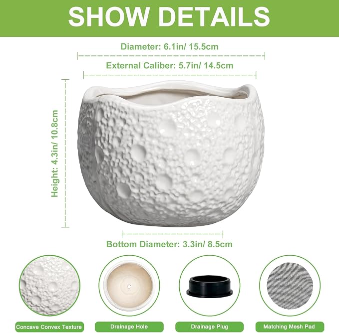 Ceramic Pots for Plants - 6 Inch Plant Pot for Indoor Outdoor, Decorative Orchid Pots with Drainage Hole, Unique Round Modern Planters, Home Decor, Gifts for Plant Lovers, White
