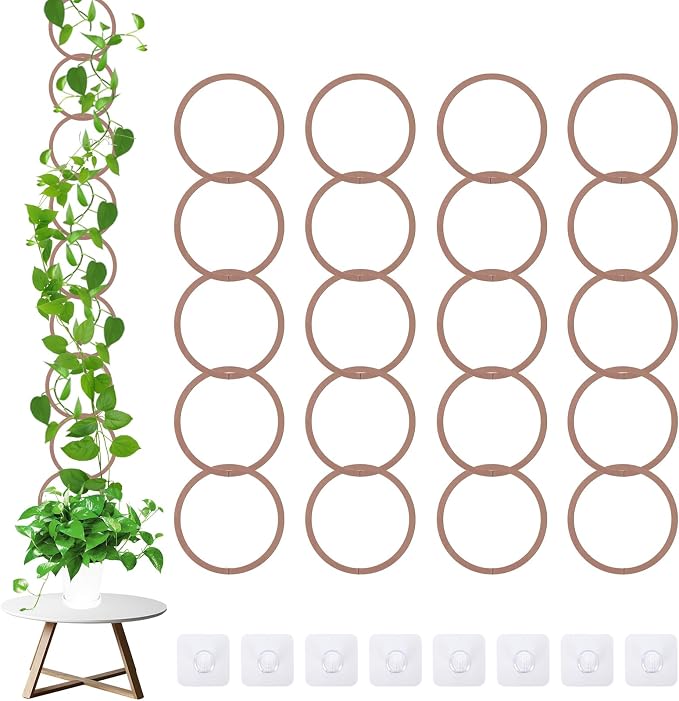 20pcs Round Chain Trellis for Climbing Plants Indoor, with 8pcs Self-Adhesive Hooks, HSSZXFR DIY Plant Climber Support for Vines and Garden Wall Trellis, for Monstera Pothos Ivy Flower