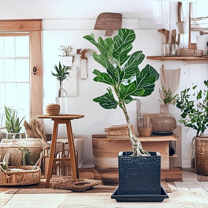 Square Plant Saucer 18 Inch 5 Pack, Planter Trays for Flower Pots, Plant Water Catcher Drip Dishes, Plastic Bottom Watering Plates Indoors and Outdoors - Black