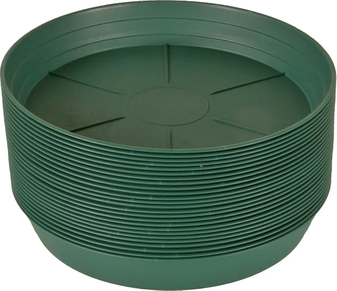 Hydrofarm HGS10P Green Premium Saucer 10-Inch, 25 Count(Pack of 1), 10 inches