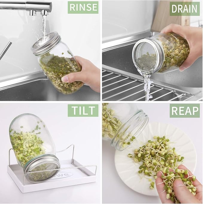 Seed Sprouting Jar Kit with Lids & Sprouts Stand,Growing alfalfa broccoli | Mason Jar Sprouter Set with Stainless Steel Screen Lids,Tray for Broccoli, Alfalfa, Mung Beans & Organic Microgreens