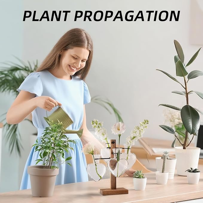 Plant Propagation Station Whith Acacia Wood Stand, 4 Heart Glass Vases | Propagation Vases for Plants，Plant Stand Indoor，Birthday Gifts for Women,Gifts for Plant Lovers，Home Decor