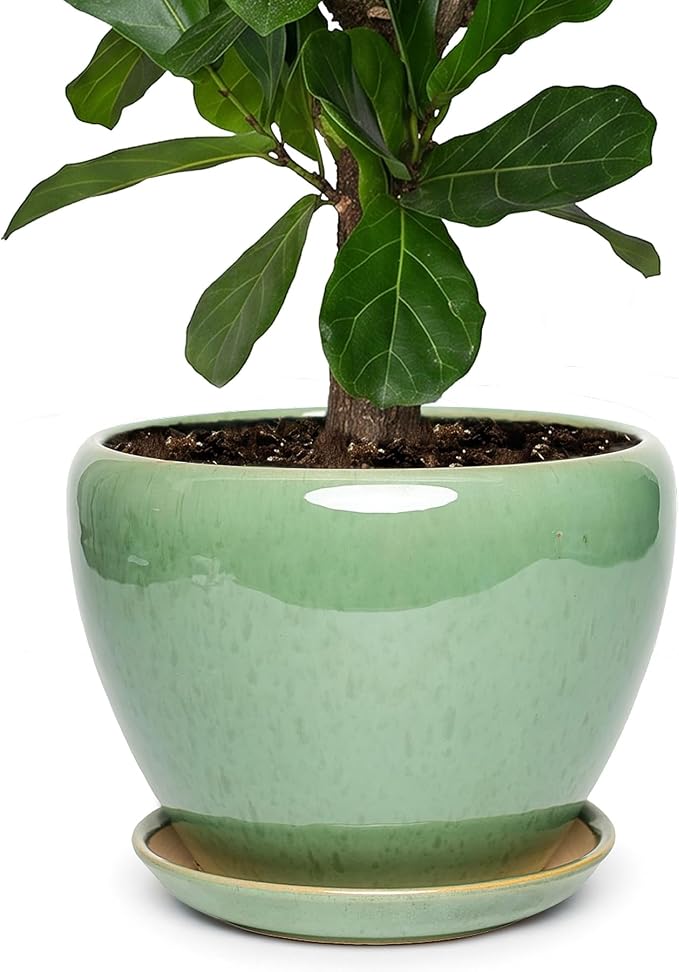 11 Inch Ceramic Plant Pot with Drainage Hole Mesh Net, Large Gardening Pots for Indoor Plants with Saucer, Crackle Green