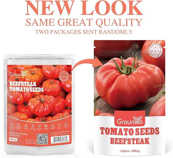 Groundio Beefsteak Tomato Seeds Non-GMO Heirloom Seeds, High Germination Indeterminate for Planting, Large Meaty Slicing Fruits, High Yield Summer Garden (Solanum lycopersicum)
