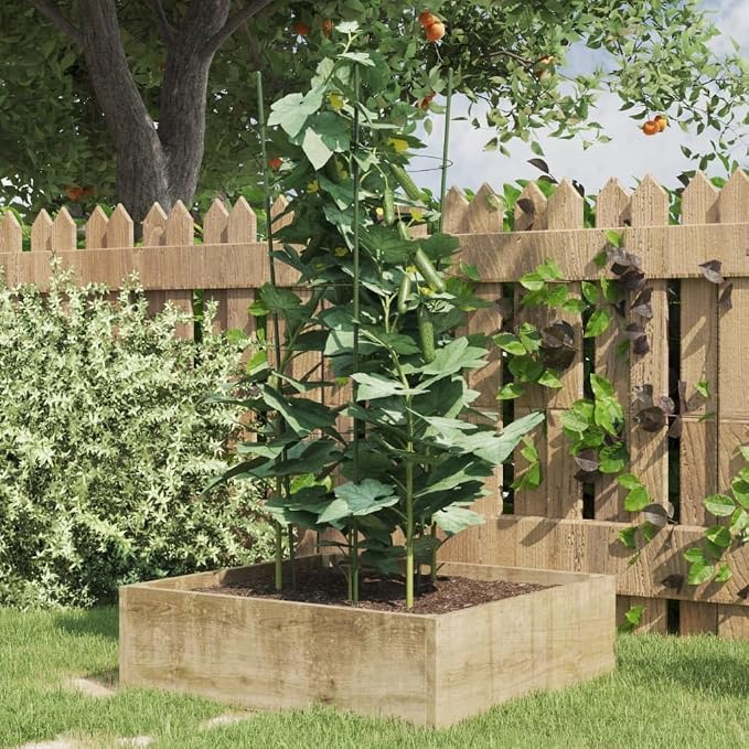 Sturdy Plant Support Rings with 3 Rings 5 pcs Green 29.5" Steel Tomato Cage for Climbing Fruits, Flowers, Vegetables, Indoor Outdoor Use