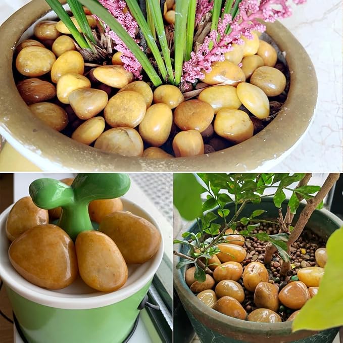YISZM 10lbs Yellow River Rocks, 1-2 Inch Natural Pebbles for Indoor Plants, High Polished Decorative Stones Vase Filler Fish Tank Aquariums Landscaping Garden