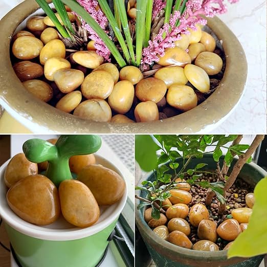 YISZM 40lbs Yellow River Rocks for Landscaping, 2-3 Inch Natural Pebbles for Indoor Plants, High Polished Decorative Stones Garden Outdoor and Indoor DIY Vase Filler Fish Tank Aquariums