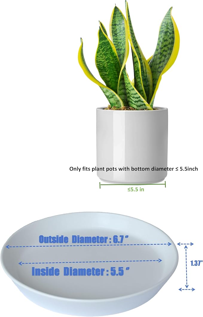 Ceramic Plant Saucer Tray 2 Pcs 6 7 Inch White, 6.7" OD x5.5 ID x1.3.7" Deep| Round Sturdy Heavy Duty Glazed Bevel Planter Drip Flower pots with Catch Basin for Indoor Outdoor Plants