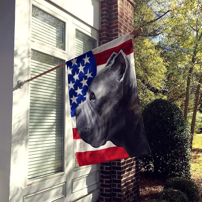 Caroline's Treasures CK6474CHF Cane Corso Dog American Flag House Flag Large Porch Sleeve Pole Decorative Outside Yard Banner Artwork Wall Hanging, Polyester, House Size, Multicolor