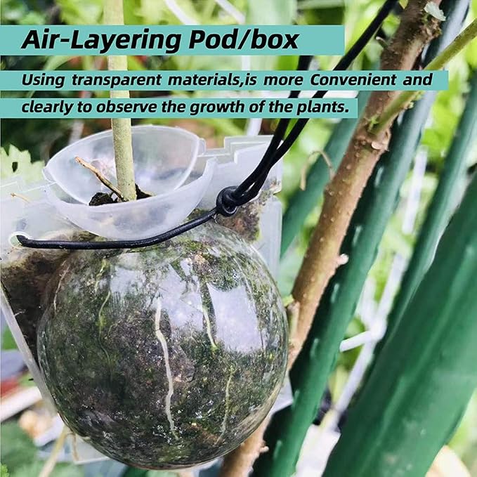 Air Layering Pods, Reusable Plant Rooting Device - Grow Box, High Pressure Propagation Ball Grafting Device - Botany Root Controller (3.1"6PCS), Transparent